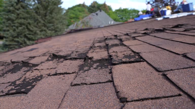 Best Roof Insulation Installation  in Shamokin Dam, PA