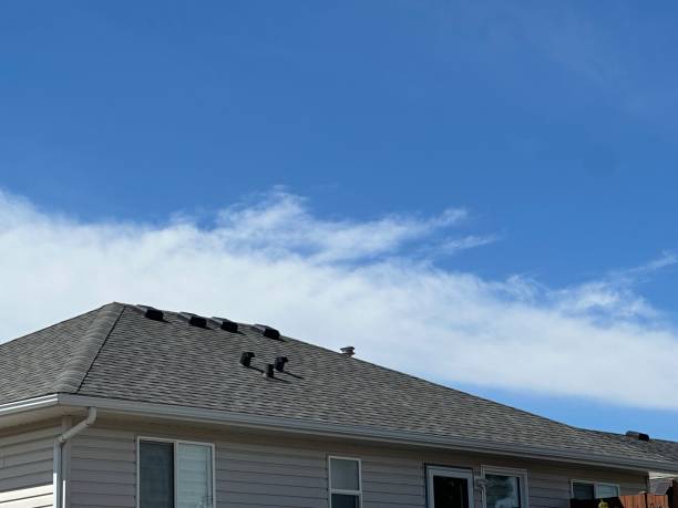 Best Roofing for New Construction  in Shamokin Dam, PA